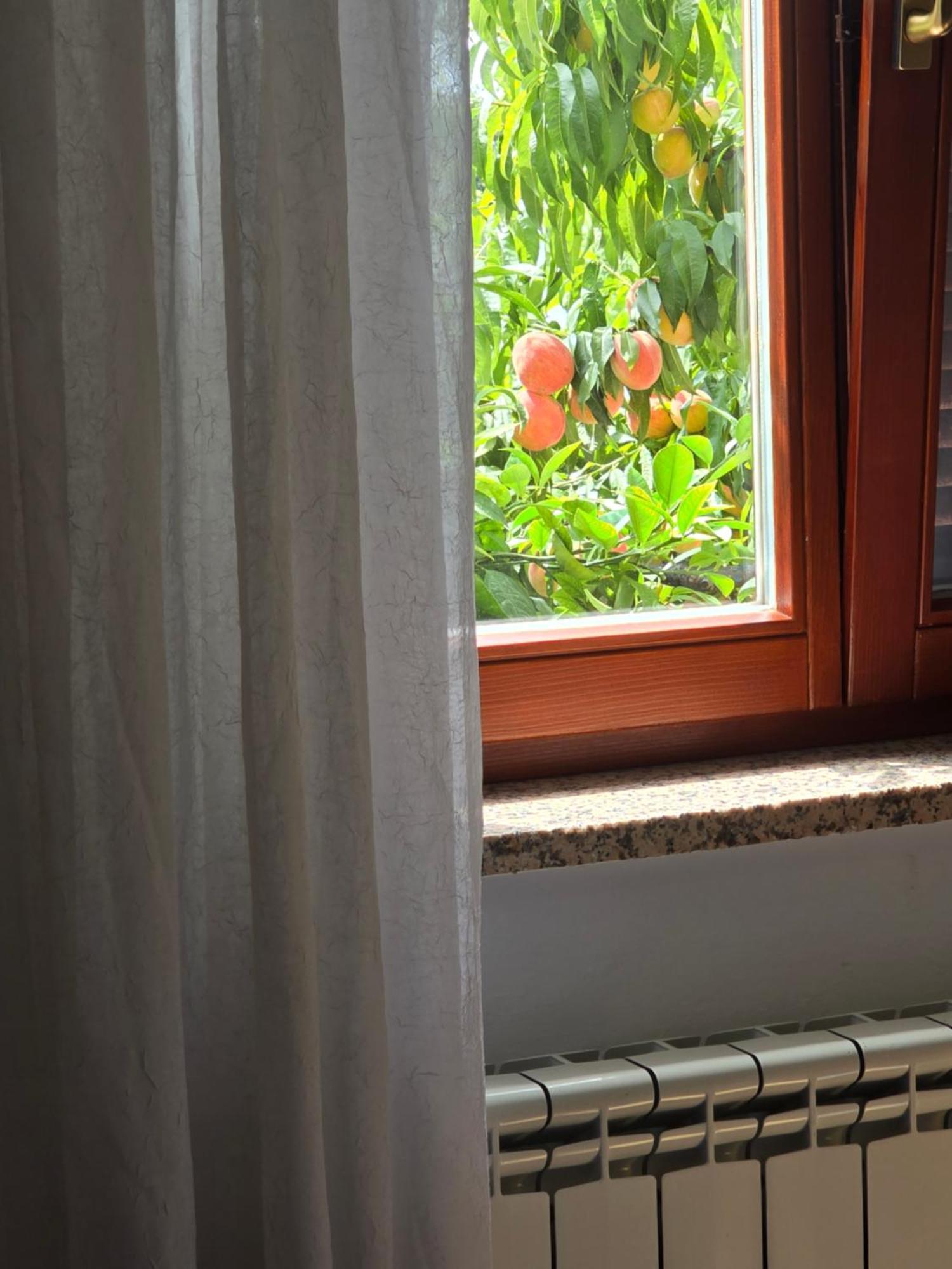 Apartman Barbara Bibinje Eksteriør billede